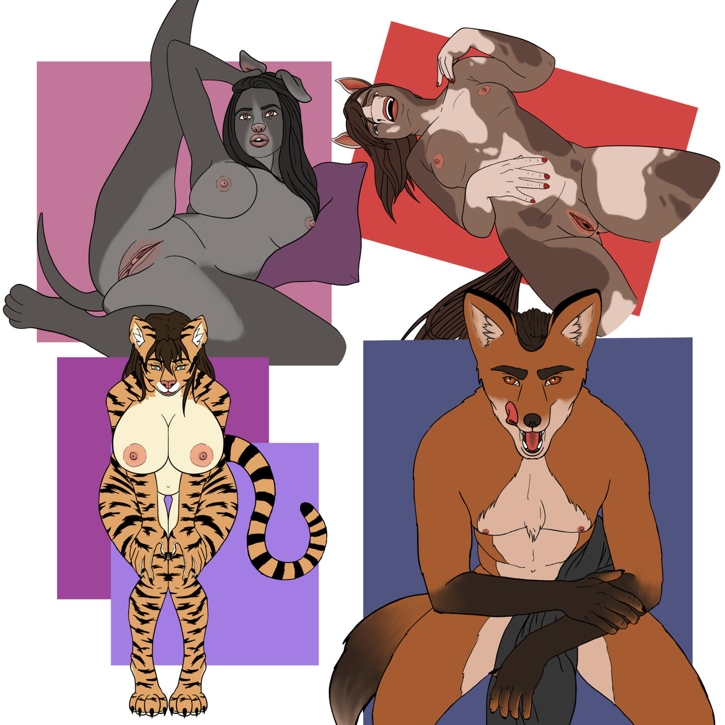 Anthro Anatomy Practice 1